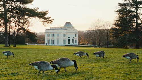 Vidéaste professionnel Paris
